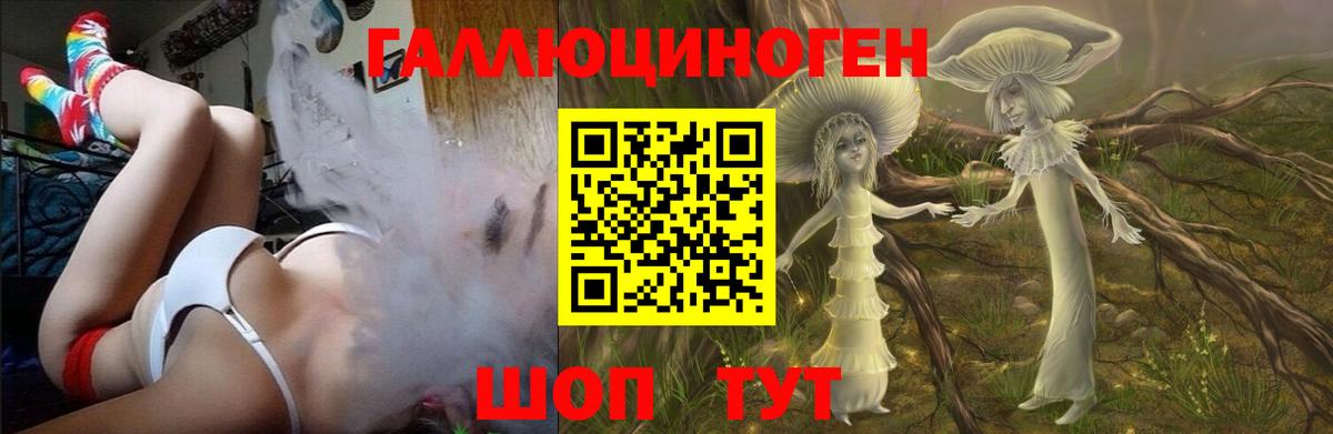 Псилоцибиновые грибы мицелий  Вход с VPN  Кольчугино 